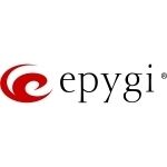 Epygi Licenses